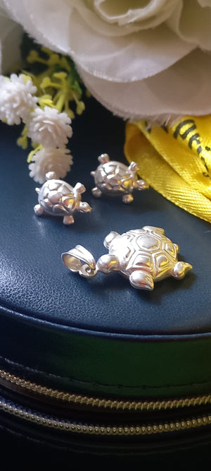 Tortoise 🐢 Set - Prize-Wear Jewelry